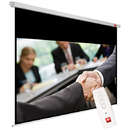 Avtek Avtek Business Electric 240 (projection area 235x147cm; 16:10; Matt-White; black borders)