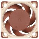 Noctua VENTA4X20PWM