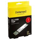 Intenso Drive TOP 3832460 (1 TB ; M.2)