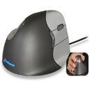 Evoluent VerticalMouse D Medium - mouse - USB