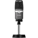 AverMedia AVerMedia AM310 PC microphone Black,Silver