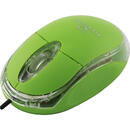 TITANUM TM102G USB OPTIC FIR VERDE