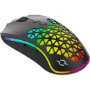 AQIRYS Mouse AQIRYS Polaris, wireless, BT,negru