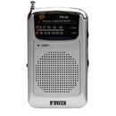 N'OVEEN Portable radio N'oveen PR151 Silver