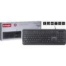 Activejet Activejet USB keyboard K-3904 Negru USB Cu fir