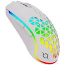 AQIRYS Mouse AQIRYS Polaris, wireless, alb