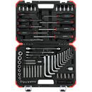 Gedore Gedore Red Torx screwing tool set, 1/4 "+ 1/2", 75-Piece Tool Set (red / black, in case)