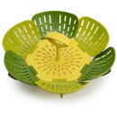 Joseph & Joseph Steam Basket Green JOSEPH JOSEPHVaatdroogrek grafietgrijs JOSEPH JOSEPH