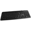 ESPERANZA Esperanza Norfolk EK139 Wired USB keyboard, Negru, USB, Cu fir