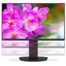 SHARP / NEC MultiSync EA241F 24" 1920x1080px 5ms Black