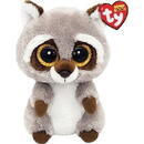 TY Ty Beanie Boo Oakie Raccoon Soft Toy (15 cm)