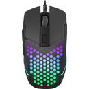 Fury Mouse Fury Battler Negru 6400 dpi USB Optic