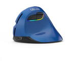 DeLux wireless si bluetooth M618 mini Albastru