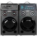 Samus TWIN SOUND 10, Negru, Conexiune Bluetooth,USB,AUX, 2000 W