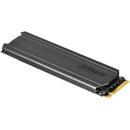 DAHUA Dahua Technology DHI-SSD-C900VN256G internal solid state drive M.2 256 GB PCI Express 3.0 3D TLC NVMe