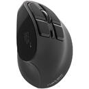 Natec Mouse wireless Euphonie, 2400dpi, USB/Bluetooth, Negru
