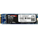 Mega Fastro 2TB M.2 MS250 Series PCI-Express NVMe intern