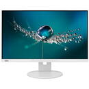 Fujitsu Tech. Solut. B24-9 T- 60,5cm 1920x1080  5ms VGA/DP /HDMI,  Gri