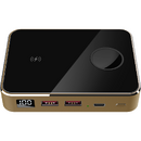 Prestigio PPB112G_GD 10000mAh 2x USB 1x USB-C Gold