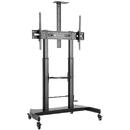 TECHLY Techly mobile TV stand 60-100cali 100kg