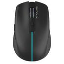 Serioux MOUSE SERIOUX FLICKER 212 WR BLACK